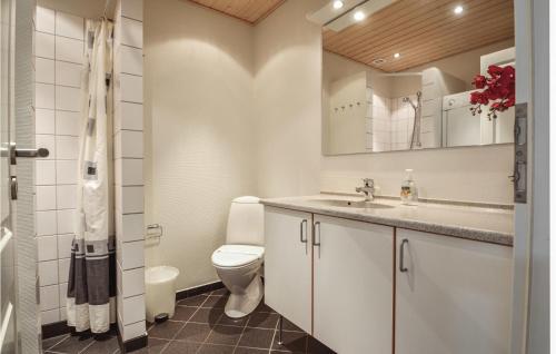 朗尼赫德2 Bedroom Stunning Apartment In Nrre Nebel的一间带卫生间和水槽的浴室