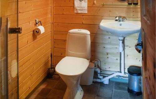 尤坎Stunning Home In Rjukan With House A Mountain View的一间带卫生间和水槽的浴室