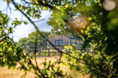 伍斯特Monkwood Shepherds Hut - Ockeridge Rural Retreats的树木繁茂的田野中的大型木制谷仓