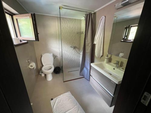 阿尔巴克Casa Cernat的带淋浴、卫生间和盥洗盆的浴室