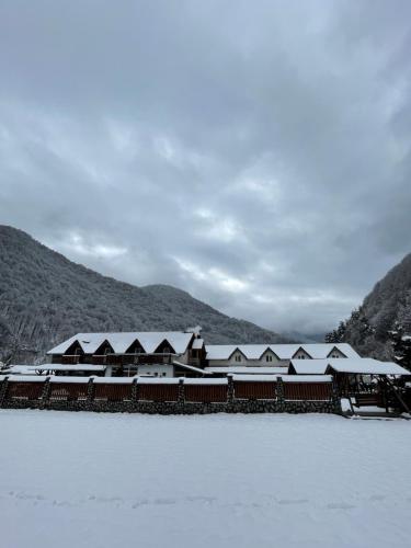 ClopotivaPensiunea Dany的湖面上一座有雪盖屋顶的建筑