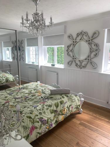阿施Wychwood A Beautiful Country Style Bungalow的一间卧室配有一张床、镜子和吊灯