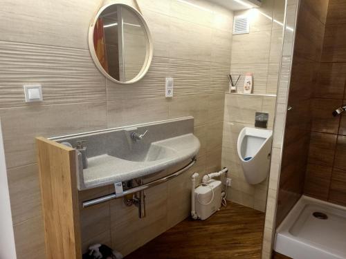 科沙林Bukowy zakątek kwatera prywatna的一间带水槽、卫生间和镜子的浴室