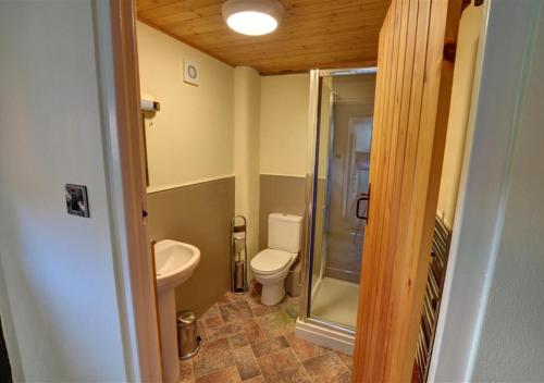 LlandinamY Beudy的一间带卫生间和淋浴的小浴室