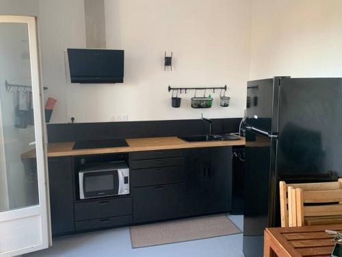 勒拉旺杜T3 vue mer的厨房配有黑色冰箱和微波炉。