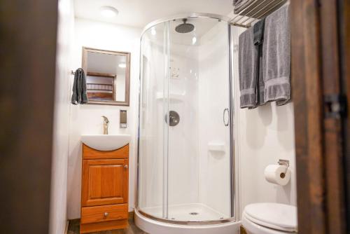 维克托Teton Tiny Home的带淋浴、卫生间和盥洗盆的浴室