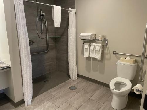 桑德贝Howard Johnson by Wyndham Thunder Bay的带淋浴和卫生间的浴室