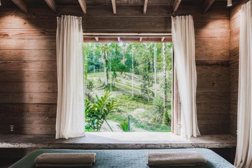 博卡斯德尔托罗Bocas Garden Lodges的一间卧室设有享有森林美景的窗户