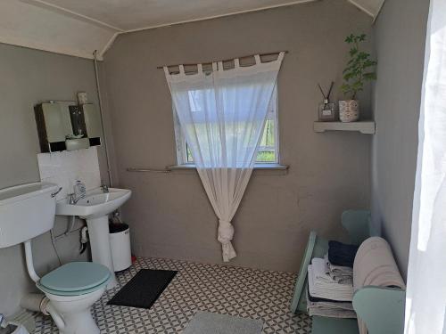 麦克鲁姆Lehane's Cottage的一间带水槽和卫生间的浴室以及窗户。