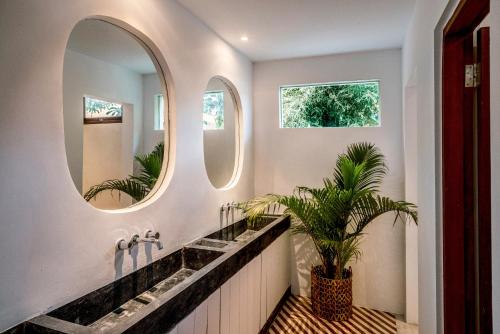 塞米亚克Batu Belig Living Managed by CPM Bali的浴室设有两面镜子和盆栽植物
