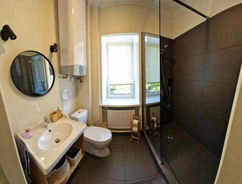 采西斯Cēsu apartamenti的浴室配有盥洗盆、卫生间和淋浴。