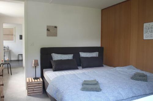 图恩NEB-THUN Studio am Thunersee的一间卧室配有一张带蓝色毯子的大床