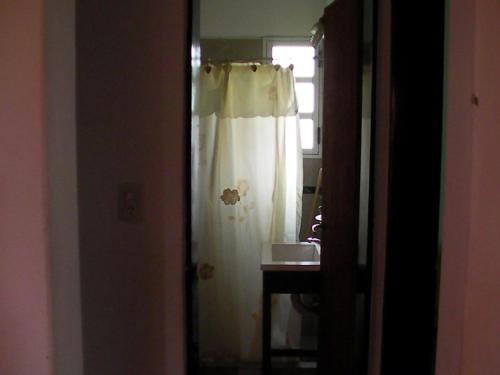 罗斯摩斯Brisa de los Molles的带淋浴帘和窗户的浴室