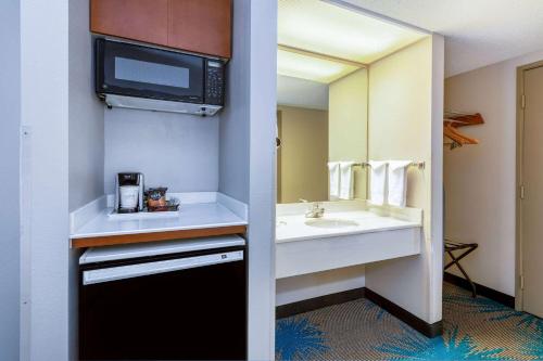 丹佛丹佛国际机场戴斯酒店的一间带水槽和微波炉的浴室