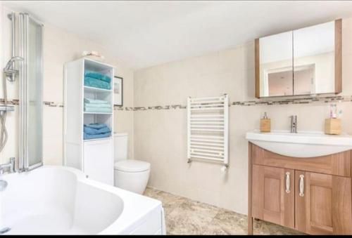 都柏林Spacious 2-bedroom property, minutes from city.的白色的浴室设有水槽和卫生间。