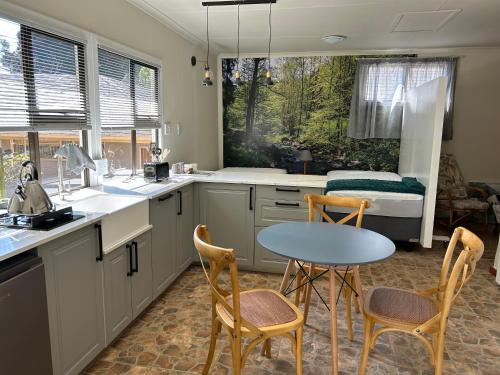 哈内茨堡Green Cottage的厨房配有桌椅和1张床
