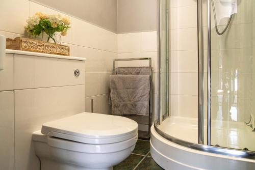 伯纳姆Nr WINDSOR stunning 1 bedroom self contained property in Burnham near Heathrow的一间带卫生间和淋浴的浴室