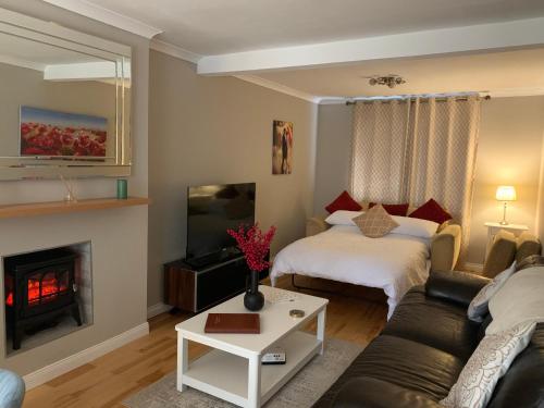班戈北爱尔兰Sea La Vie的客厅设有一张床和一个壁炉