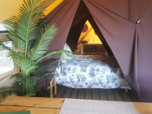Le lodge cocooning的种植了植物的帐篷里,卧室里配有一张床