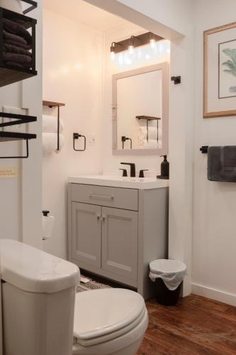 萨凡纳1885 Garden Studio - Historic Heart of Savannah - Pulaski Ward的一间带水槽、卫生间和镜子的浴室
