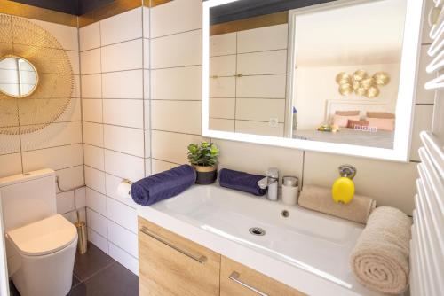 马赛LES SUITES LOVE 2 SPA VUE MER PISCINe的一间带水槽、卫生间和镜子的浴室