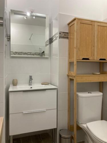阿雅克修STUDIO COURS GENERAL LECLERC的一间带水槽、卫生间和镜子的浴室