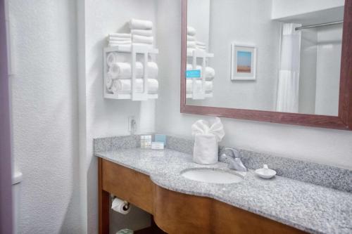 马里恩马里昂希尔顿恒庭酒店的一间带水槽和镜子的浴室