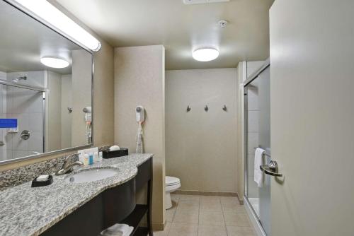 刘易斯堡刘易斯堡希尔顿恒庭酒店的一间带水槽、卫生间和镜子的浴室
