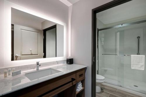 圣塔克拉瑞塔Homewood Suites By Hilton Santa Clarita/Valencia, Ca的一间带水槽、卫生间和镜子的浴室