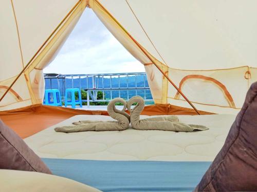 Ban Sakoenภูลังกาซีวิว的两个天鹅躺在帐篷的床上