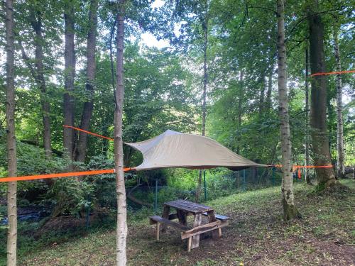 Baumzelte Mühlengrund的树林里的帐篷和野餐桌