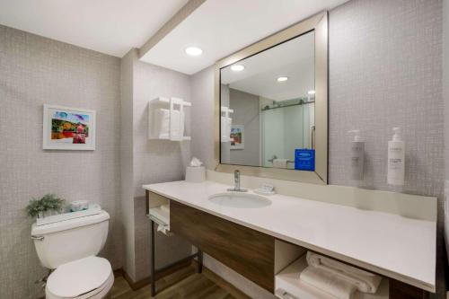 威洛格罗夫费城/杨柳林希尔顿恒庭酒店的浴室设有卫生间和带镜子的盥洗盆
