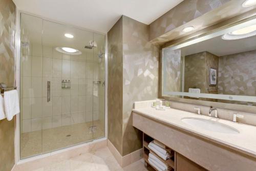 华盛顿Hilton Washington DC Capitol Hill的一间带水槽和淋浴的浴室