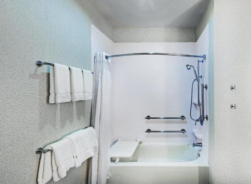 CoffeyvilleHoliday Inn Express & Suites - Coffeyville, an IHG Hotel的带淋浴、浴缸和毛巾的浴室