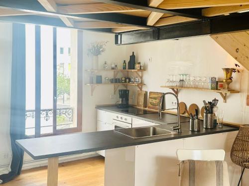 巴黎Le Cocon Parisien的厨房配有水槽和台面