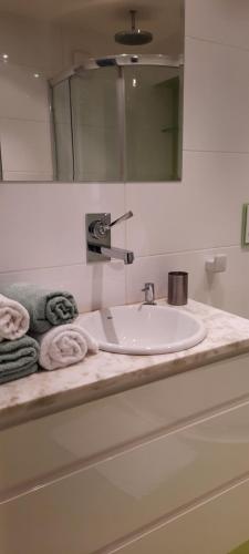纳文丘夫Apartament Centrum przy Parku Zdrojowym的浴室的柜台设有水槽和镜子