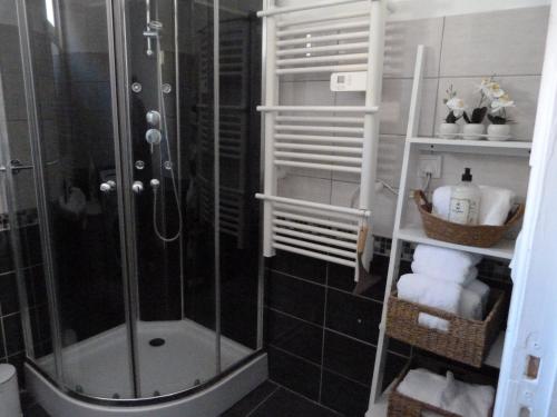 维耶尔宗Appartement T3 - RDC-Parking Gratuit的带淋浴和一些毛巾的浴室