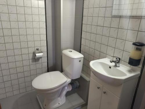 萨莫科夫Altavista mountain apartment的白色的浴室设有卫生间和水槽。