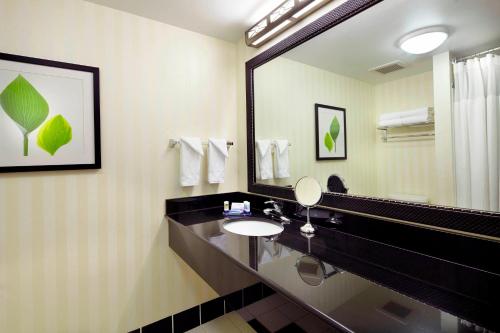 罗宾逊镇匹兹堡内维尔岛费尔菲尔德客栈&套房酒店的一间带水槽和大镜子的浴室