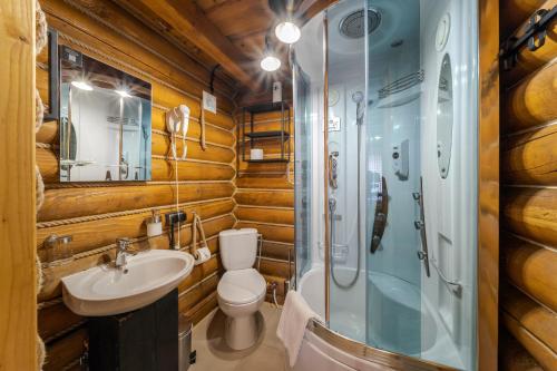 德拉格布拉特Gremi Hotel的浴室配有卫生间水槽和淋浴。