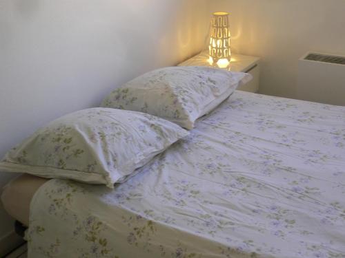 鲁昂Bel appartement meublé et aménagé的床上有2个枕头