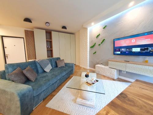 克卢日-纳波卡Lavish Inn Apartment的带沙发和平面电视的客厅