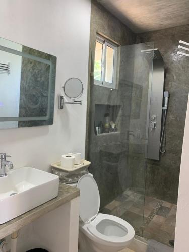 蓬塔卡纳VILLA GRANDEZZA的浴室配有卫生间、盥洗盆和淋浴。