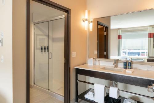 尼斯库温尼伯国际机场福朋喜来登酒店 的一间带水槽和淋浴的浴室