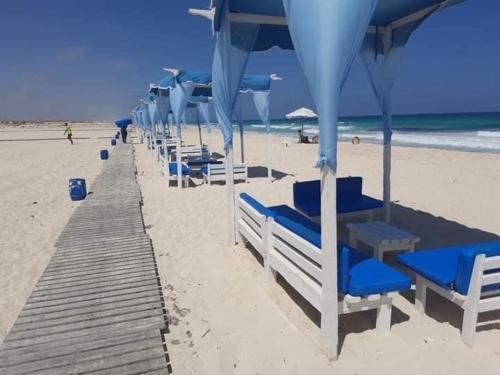 亚历山大North coast sedra resort villa قريه سيدرا الساحل الشمالي的海滩上一排沙滩椅和遮阳伞
