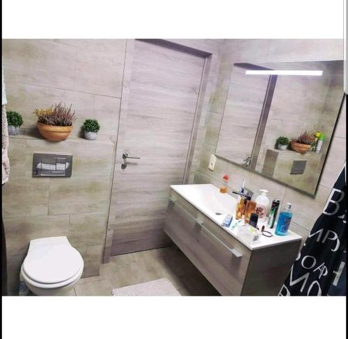 瑟兰chouette appartement 2 chambres的浴室配有卫生间、盥洗盆和淋浴。