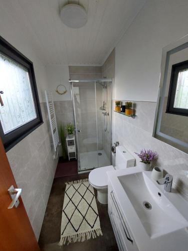 DockweilerFerienhaus Eifel Nature Dream的一间带水槽、卫生间和淋浴的浴室