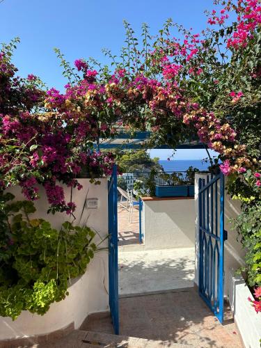 蓬扎Casa Talento的白色墙壁上带粉红色花的蓝色门