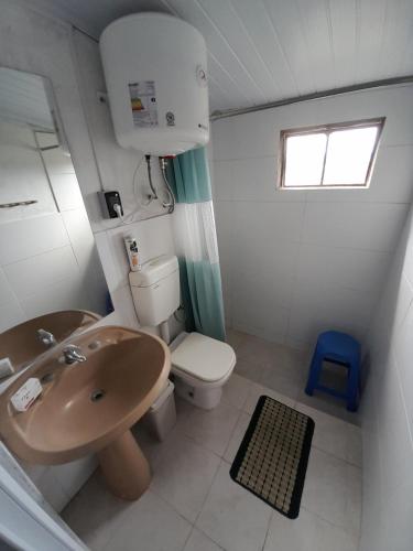 萨尔托Lavanda Casa de Campo的一间带水槽和卫生间的小浴室