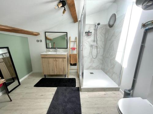拉克罗LES VIEUX PLATANES的带淋浴、盥洗盆和镜子的浴室
